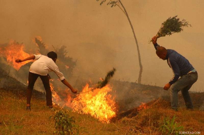 Severe Wildfires Devastate Nepal, Marking Worst Season in Nearly Ten Years