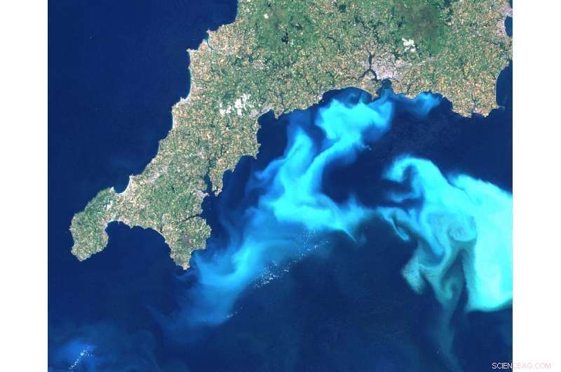 Increased Ocean Stability Amid Climate Change: Potential Risks and Unintended Consequences