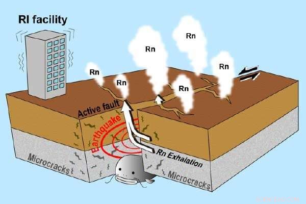 Pre-Event Atmospheric Radon Anomaly Linked to 2018 Northern Osaka Earthquake