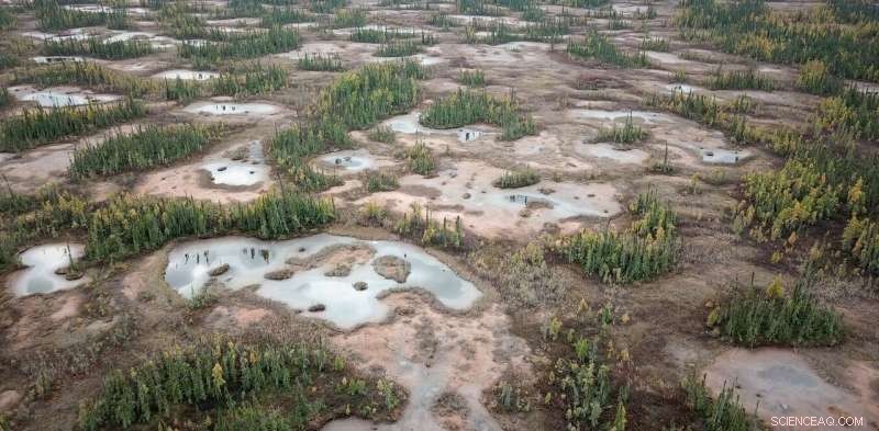 Restoring Boreal Peatlands: Scientists Lock Carbon Underground