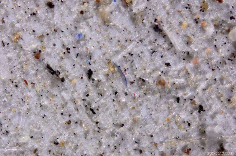 Tracking Microplastics: Unveiling Global Patterns and Hotspots