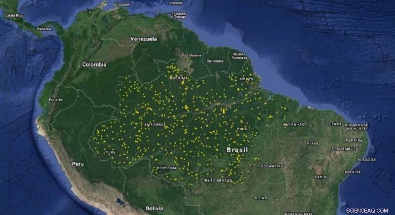 Using Airborne LiDAR to Map Amazon Gaps Reveals Key Factors Behind Tree Mortality