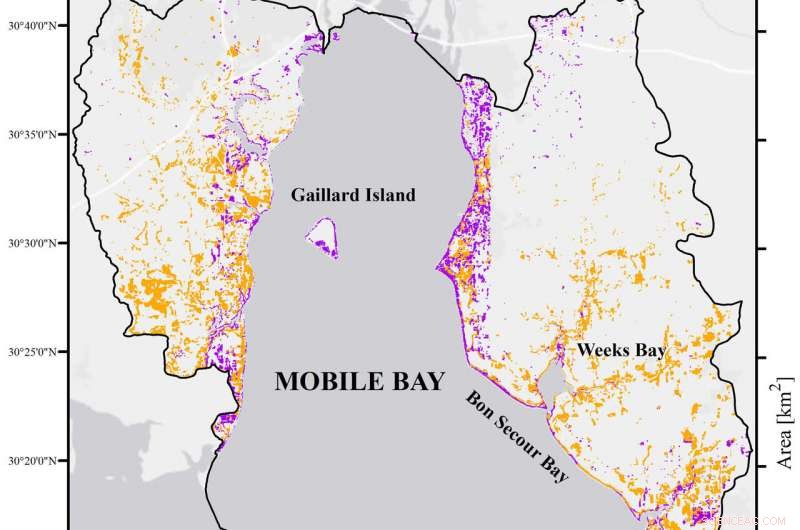 Mobile Bay Marshes Decline: One-Third Lost Since 1980s, Study Reveals