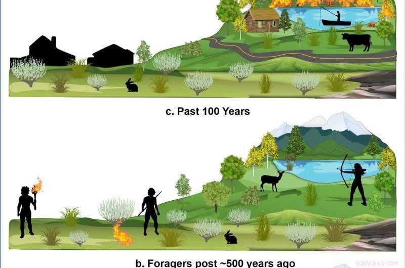 How Indigenous Land Management Significantly Lowered Wildfire Severity on the Fish Lake Plateau