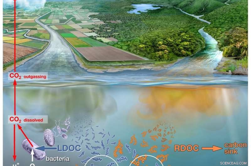 Reliable Detection of Low Oxygen in Rivers and Lakes