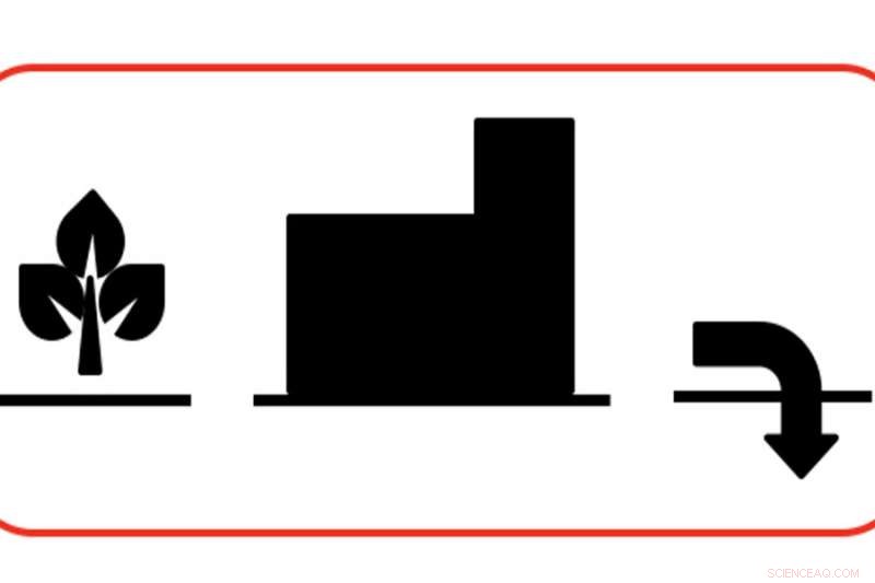 Harnessing Negative Emissions for a Thriving Economy