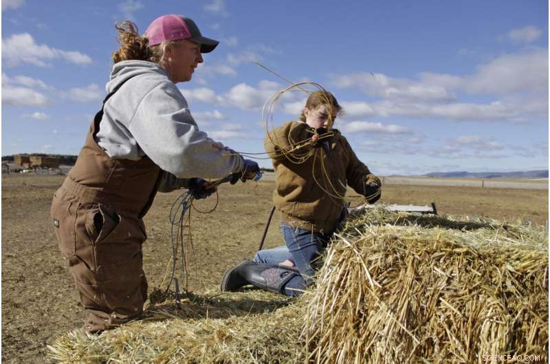 Critical Drought Triggers Water Crisis on Oregon-California Border