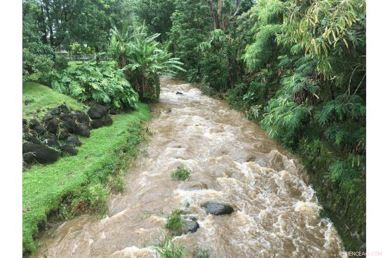Extreme Rainfall from Global Warming Threatens Hawaii’s Coral Reefs