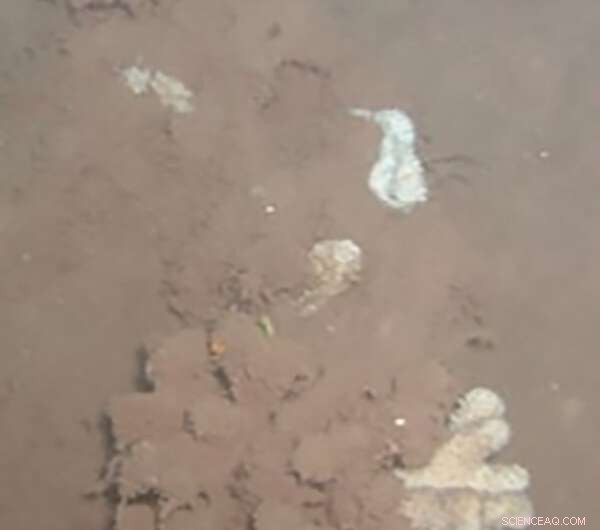 Extreme Rainfall from Global Warming Threatens Hawaii’s Coral Reefs