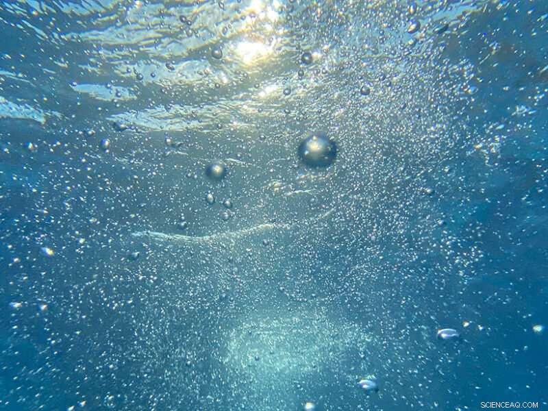 Tracking Oxygen Dynamics in the 18°C Waters of the Sargasso Sea