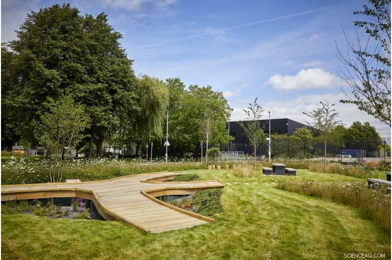 Sponge Parks & Vertical Gardens: Harnessing Nature to Mitigate Extreme Weather in Urban Environments