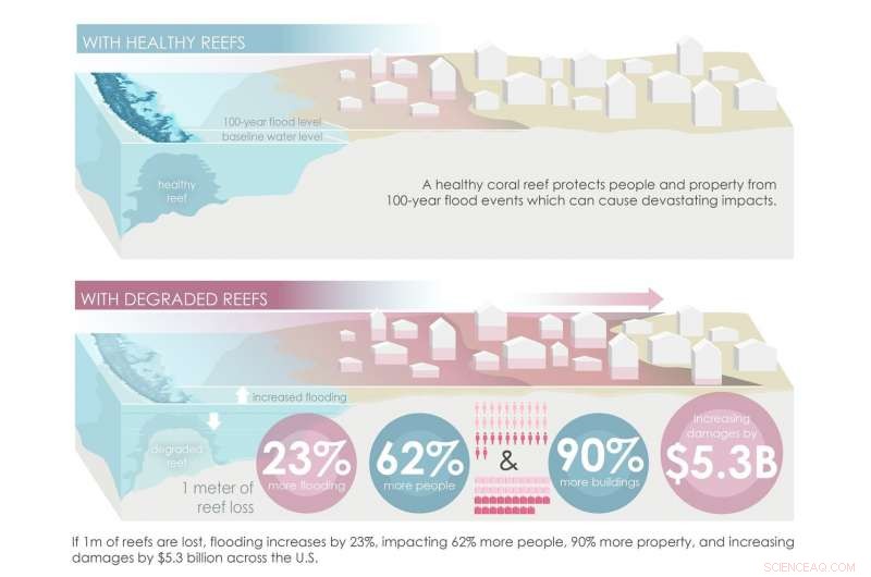 Coral Reefs Save U.S. Property Owners Over $5.3 Billion in Flood Protection