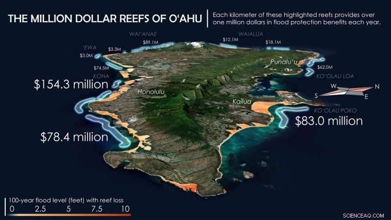 Coral Reefs Save U.S. Property Owners Over $5.3 Billion in Flood Protection