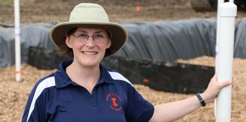 Woodchips: A Proven Solution for Global Water Cleanup