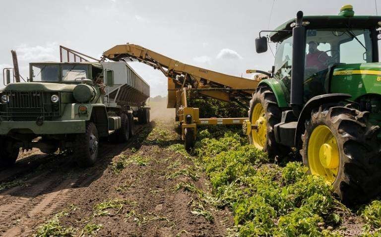 Achieving Net Zero in Agriculture: Immediate Actions Farmers Must Take