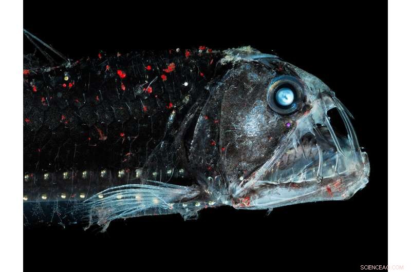 Long-Term Impact of CO₂ Emissions on Earth