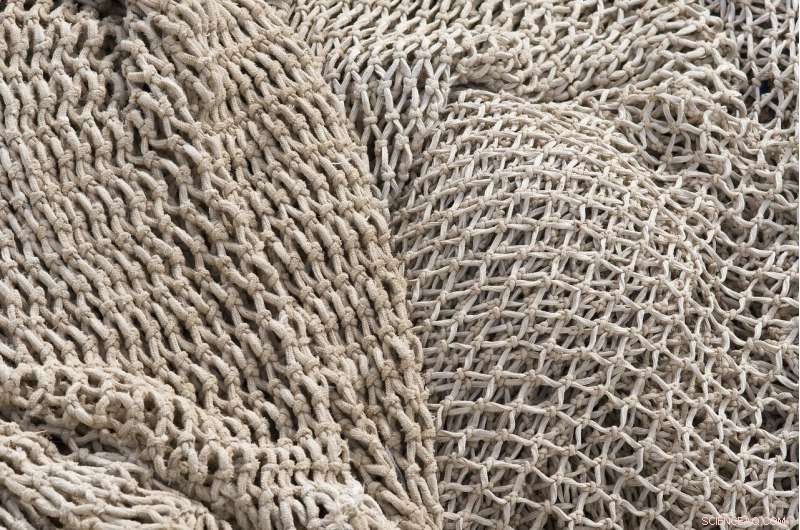 Bottom Trawling: A Threat to Marine Ecosystems and Climate Stability