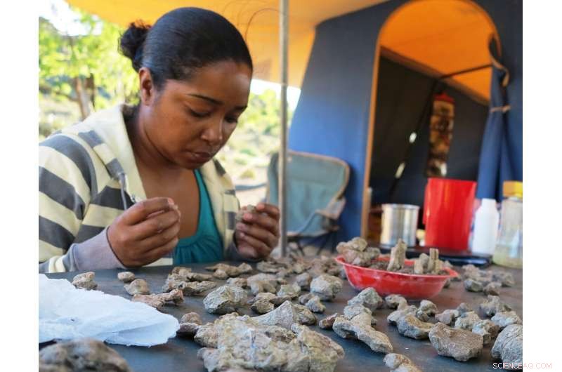 The End‑Permian Extinction: Terrestrial Death Toll Took a Decade Longer Than Marine Losses