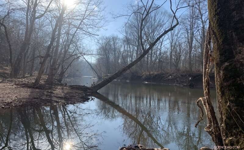 Salt Contamination in Freshwater Threatens Ecosystems and Public Water Supplies