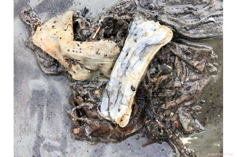 Norwegian Scientists Discover Submerged Trash Dump While Investigating Electronics Emissions