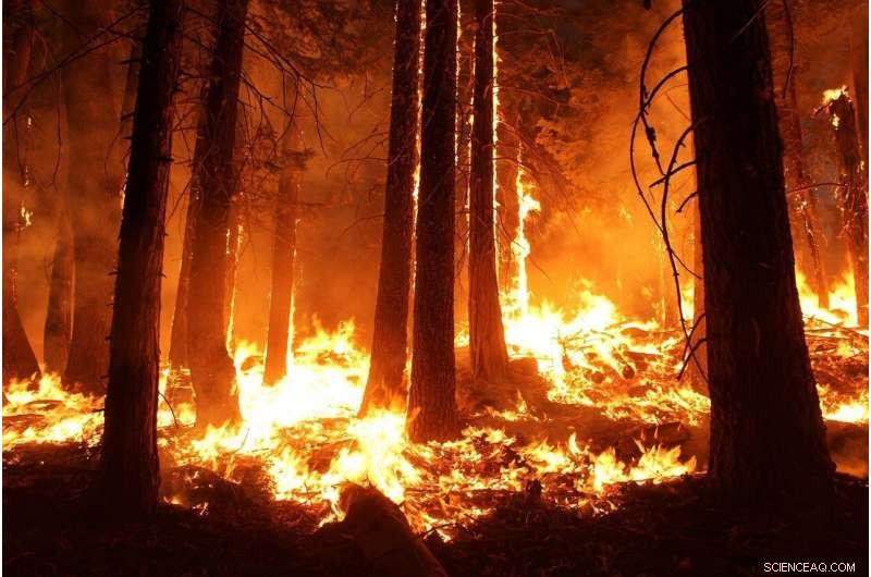 California Wildfires Drive Advances in Air Quality Forecasting