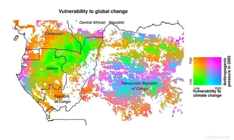 New Inventory Reveals African Forests Most Vulnerable to Climate Change