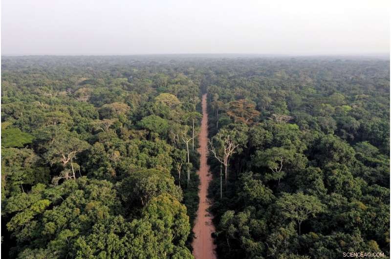 New Inventory Reveals African Forests Most Vulnerable to Climate Change