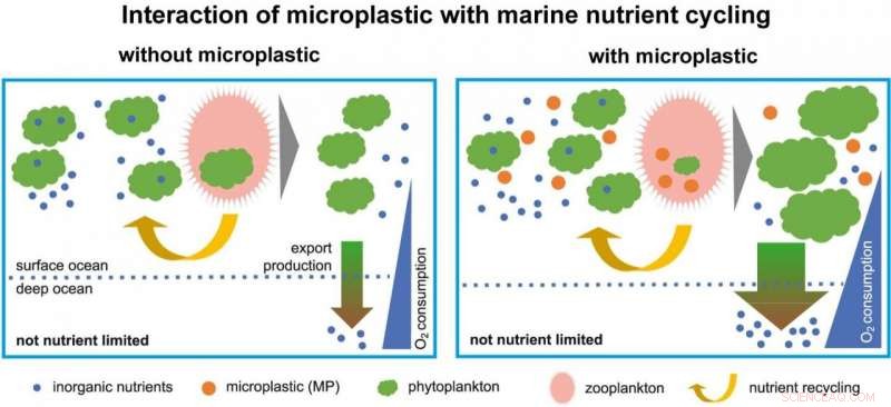Microplastics Threaten Ocean Health by Altering Nutrient Cycles and Oxygen Levels