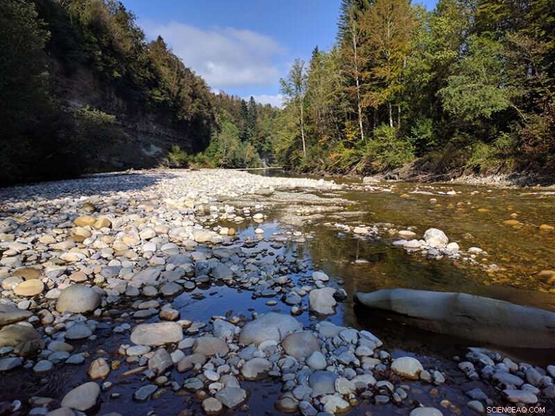 Mapping the Journey of River Water into Aquifers: A Watershed Study