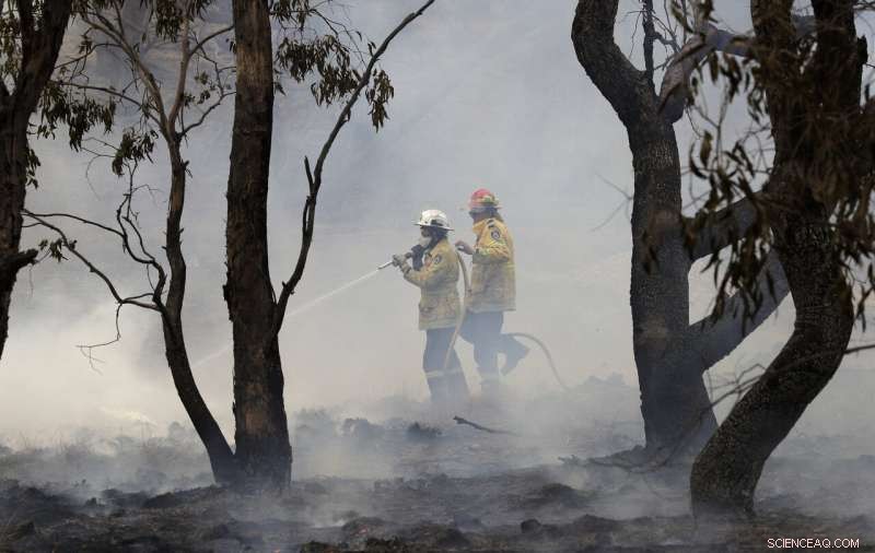 Extreme Weather Drives the Evolution of Climate Misinformation