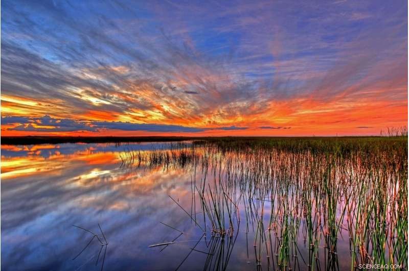 Florida and Federal Governments Sign Deal to Build Everglades Reservoir, Commencing Major Restoration Effort