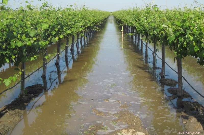 Harnessing Floodwaters to Mitigate Drought: Innovative Water Management
