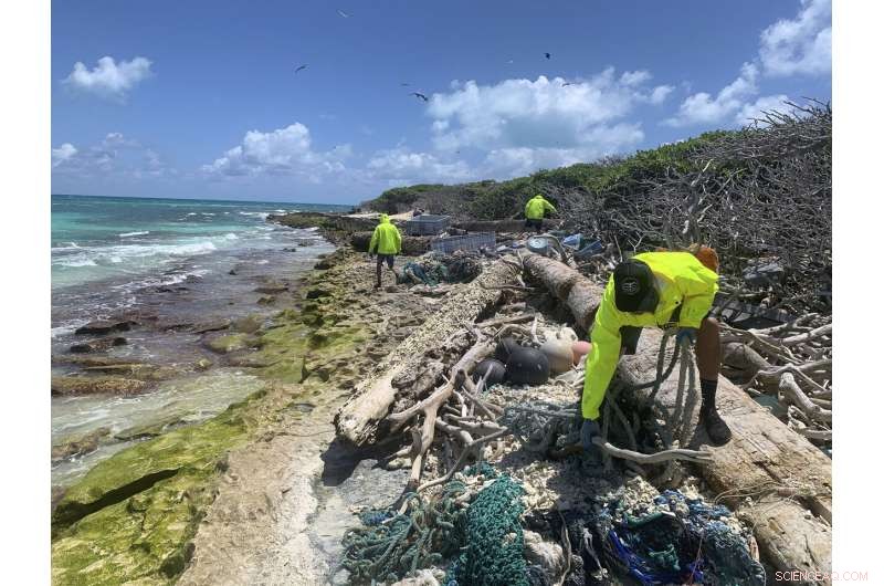Expedition Clears Tons of Plastic from Remote Hawaiian Atolls