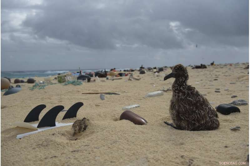 Expedition Clears Tons of Plastic from Remote Hawaiian Atolls