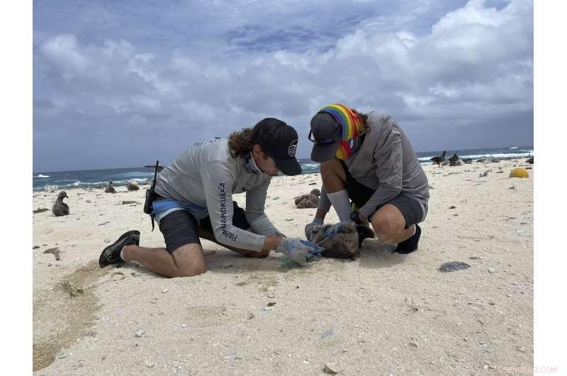 Expedition Clears Tons of Plastic from Remote Hawaiian Atolls