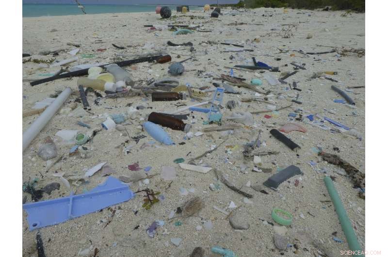 Expedition Clears Tons of Plastic from Remote Hawaiian Atolls
