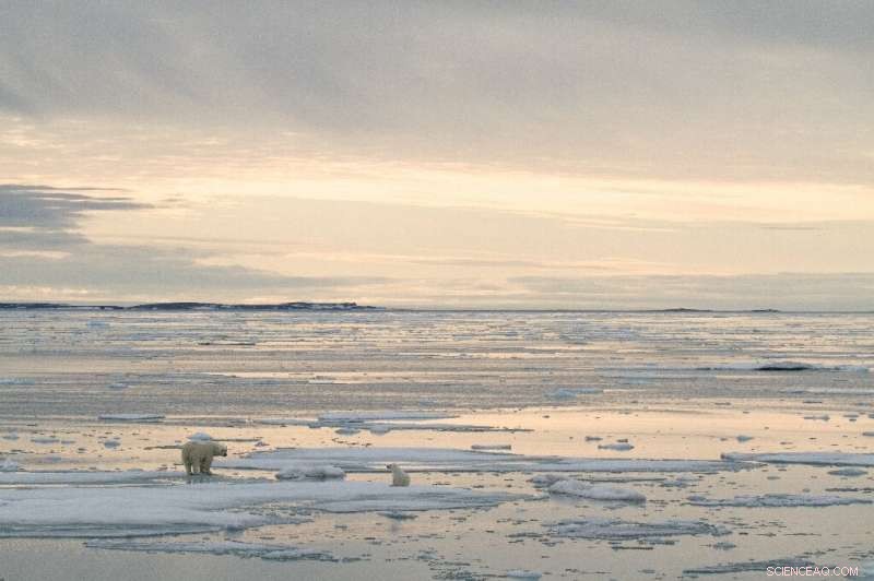 Europe Uses Satellite Monitoring to Track Climate Change