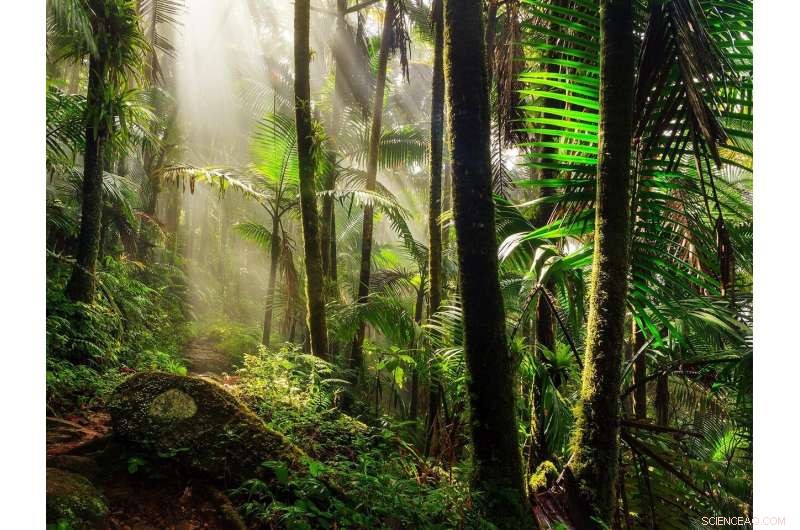 Assessing Climate Impacts on Renewables in Latin America & the Caribbean