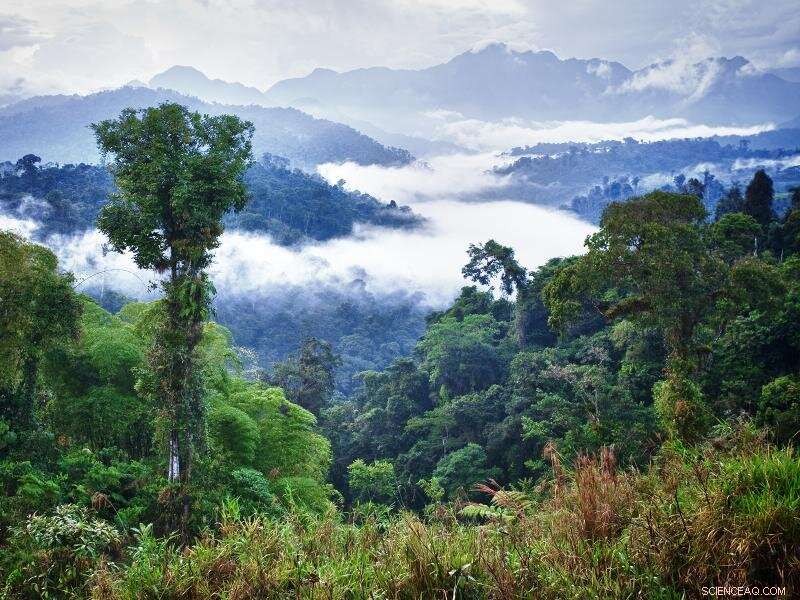 Assessing Climate Impacts on Renewables in Latin America & the Caribbean