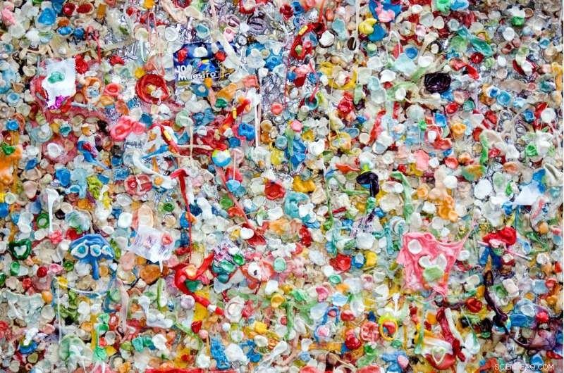 The Hidden Plastic: How Everyday Food and Air Impact Your Health