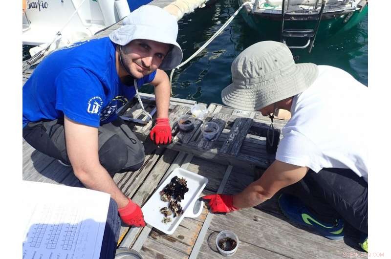 Assessing Marina Pollution: A Comprehensive Scientific Study