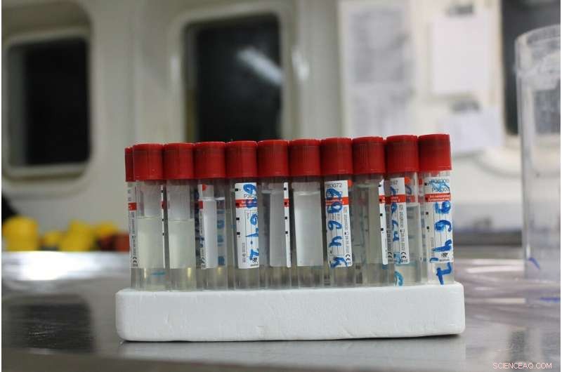 First Comprehensive Study of Pore-Water Composition at Eastern Arctic Methane Cold Seeps