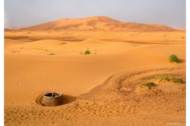 Scientists Warn: 20% of Global Groundwater Wells Could Dry Up Soon