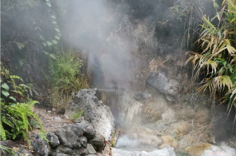 New Climate‑Friendly Microbes Digest Dead Plants Without Emitting Methane