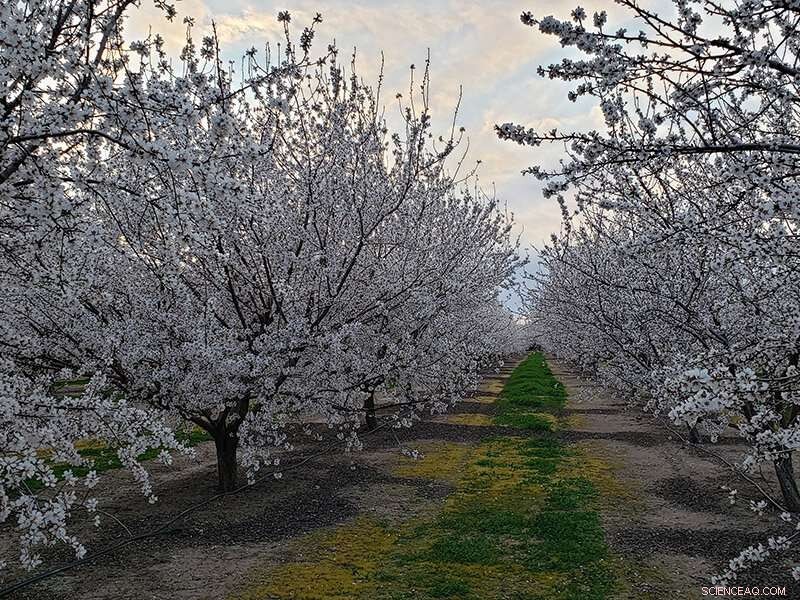 Unveiling Nitrogen Leaching: Accurate Groundwater Pollution Monitoring in Agriculture