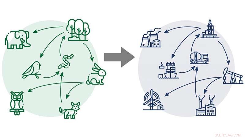 Harnessing Nature’s Blueprint: Building Sustainable, High-Performance Industrial Networks