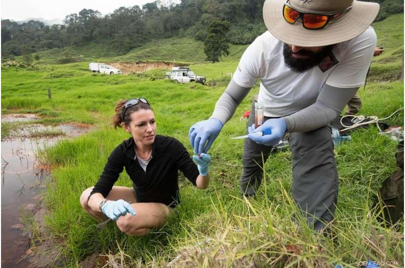 Microbes Capture Vast Carbon Quantities: New Study Reveals