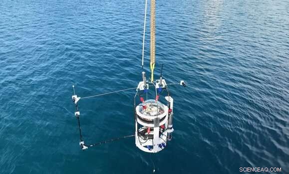 Dalhousie University Deploys Autonomous Lander to Deepest Ocean Depths