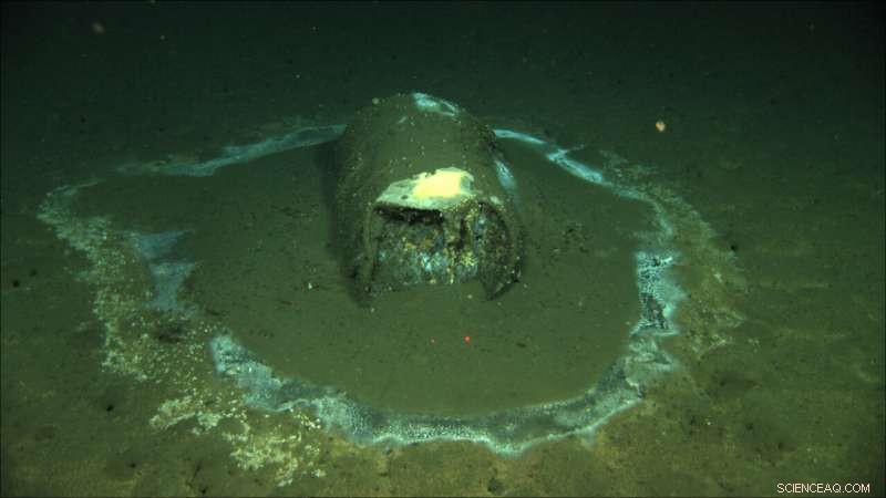 Scientists Uncover Staggering Scale of DDT Dumping in the Pacific