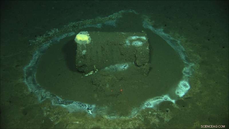 Scientists Uncover Staggering Scale of DDT Dumping in the Pacific